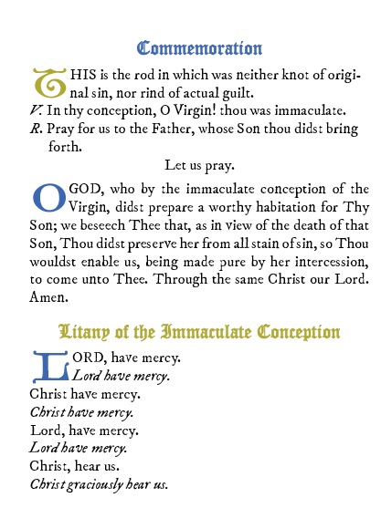 Immaculate Conception Prayers and Devotions